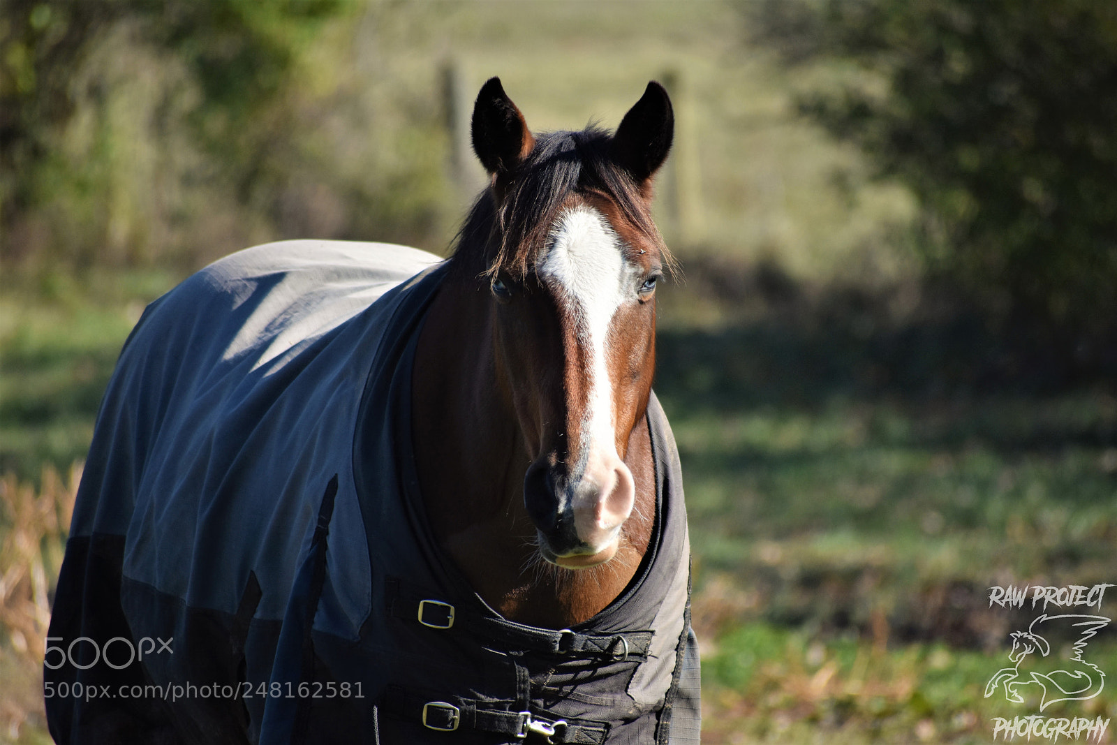 Nikon D3400 sample photo. () photography