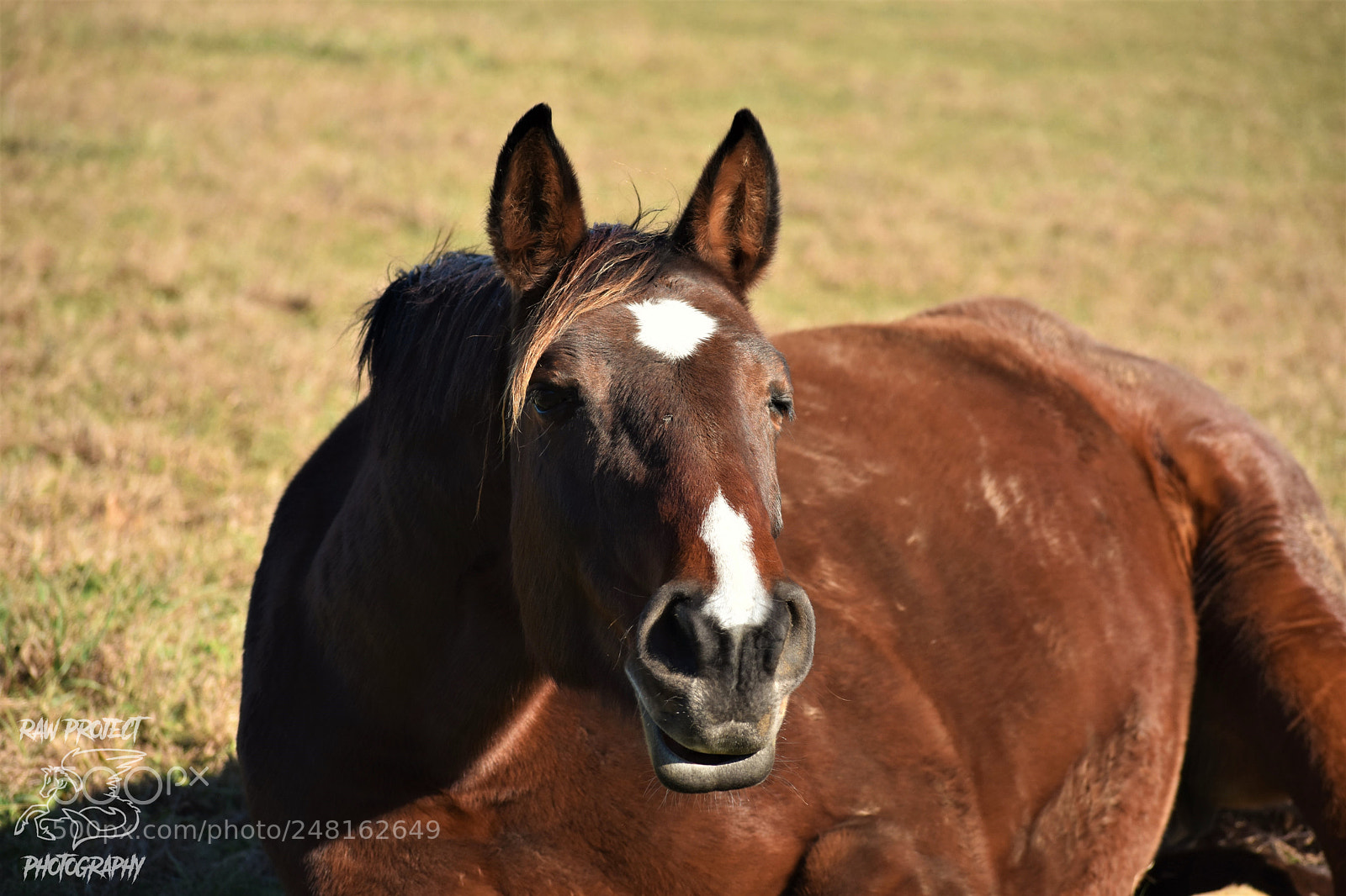 Nikon D3400 sample photo. () photography