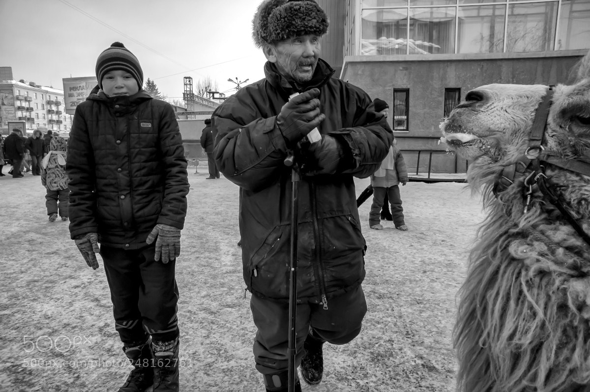 Sony Alpha NEX-5 sample photo. водитель верблюда photography