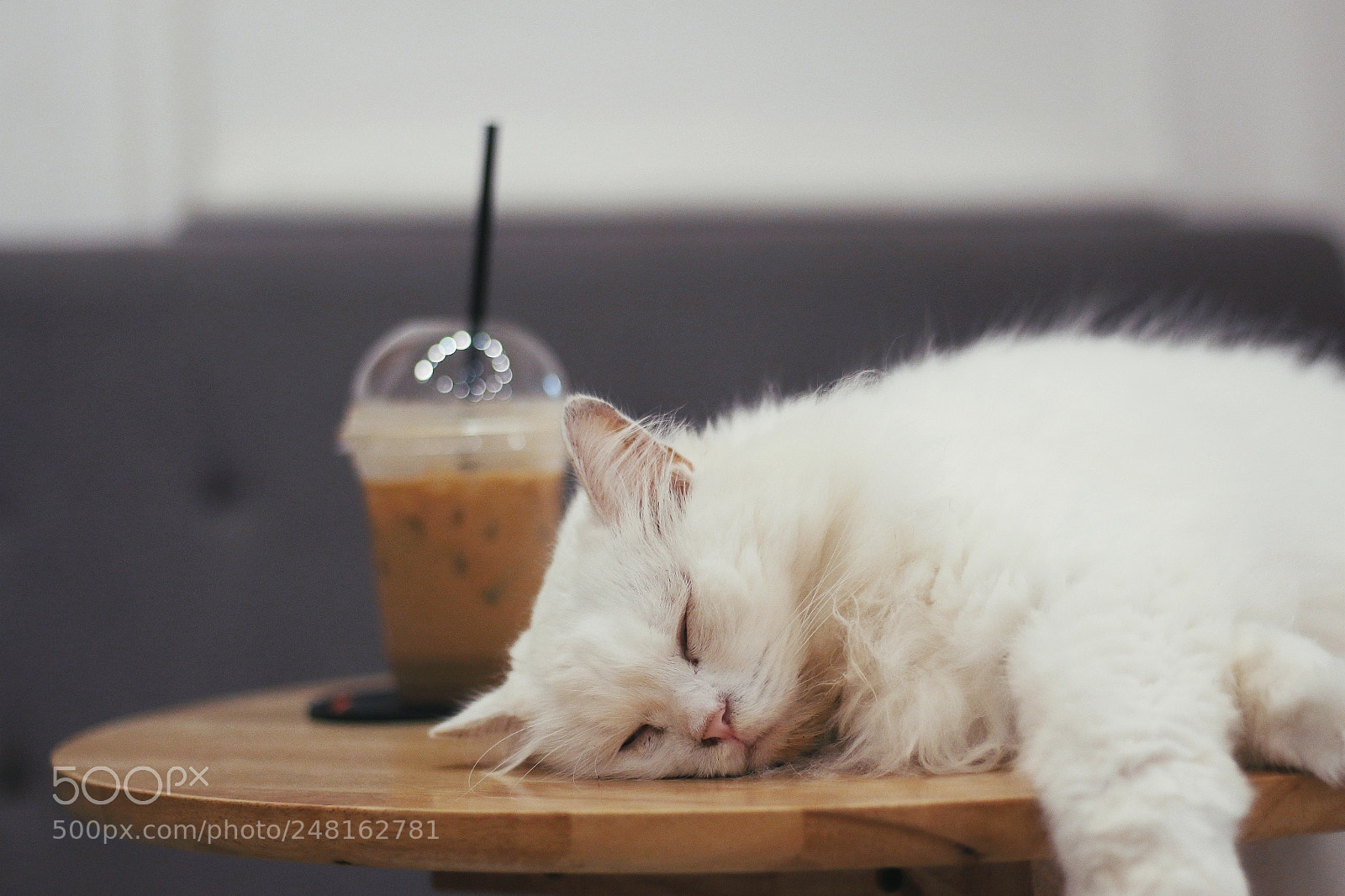 Canon EOS 700D (EOS Rebel T5i / EOS Kiss X7i) sample photo. Sleeping beauty photography