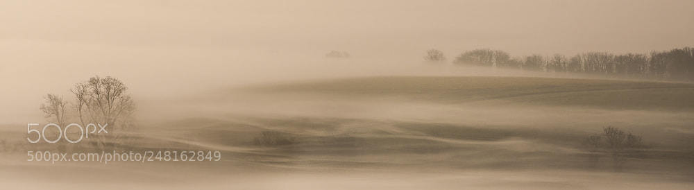 Canon EOS 40D sample photo. Shrouded in mist photography