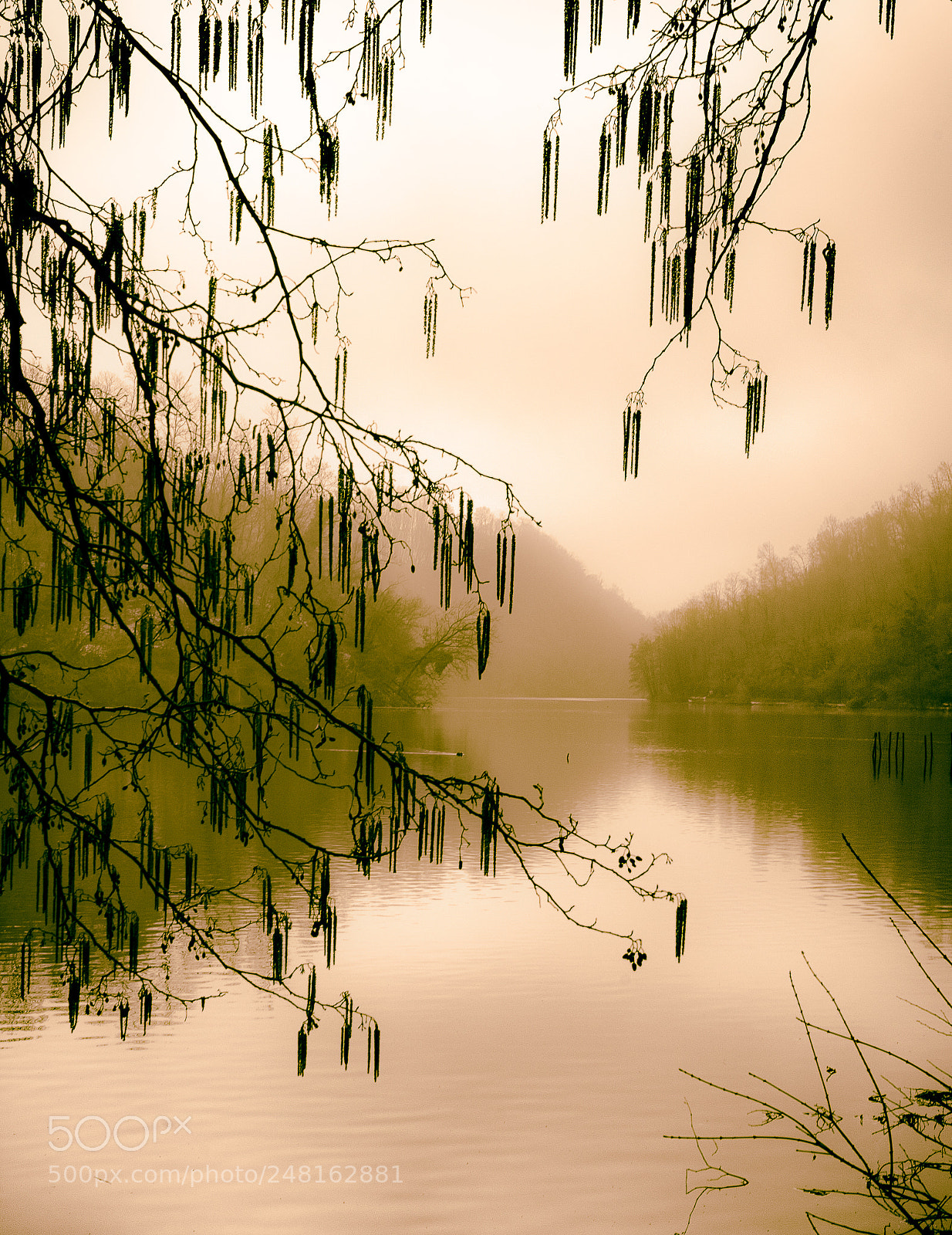 Nikon D7100 sample photo. This mornin'.... photography