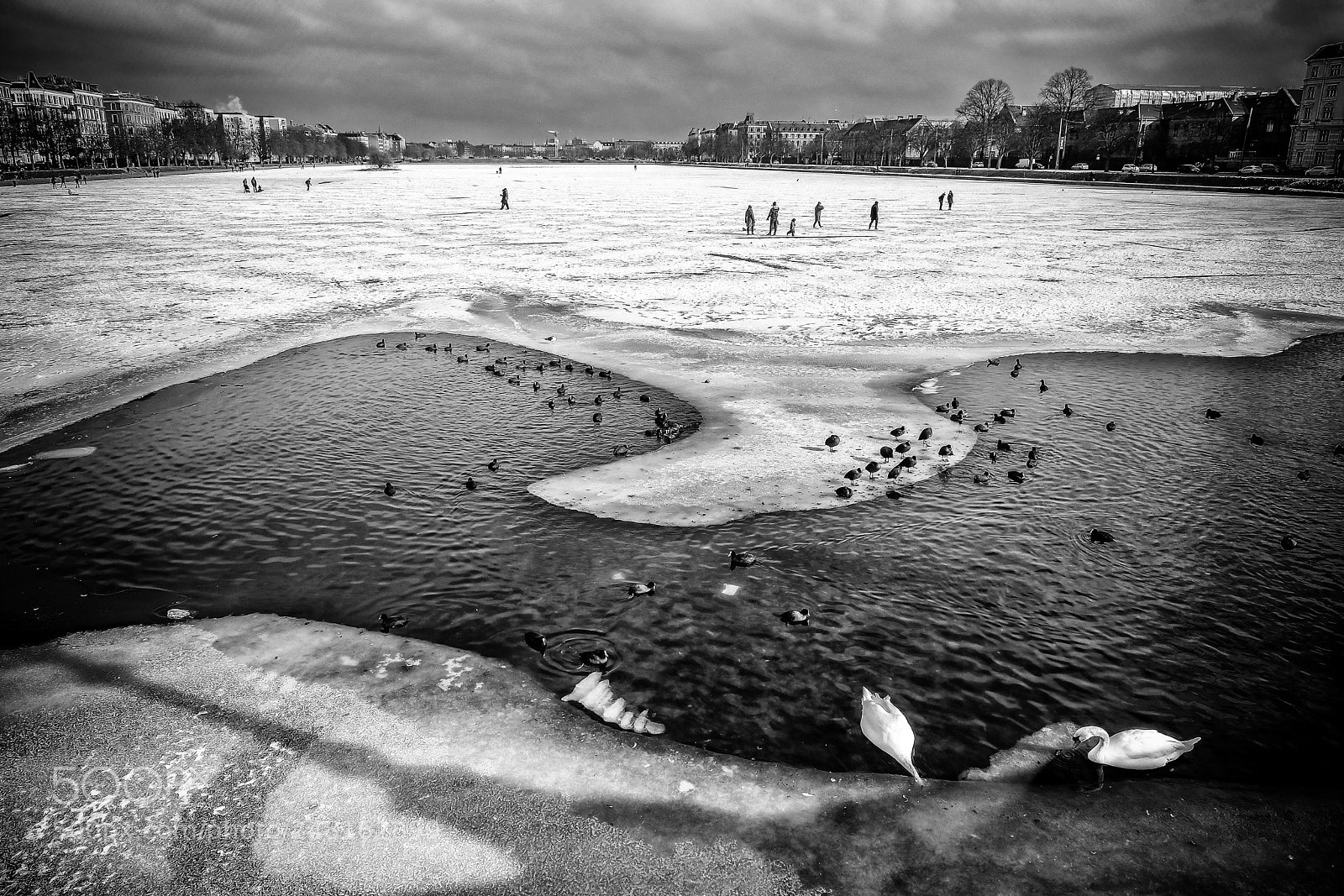 Fujifilm X-Pro2 sample photo. Frozen lakes in copenhagen ... photography