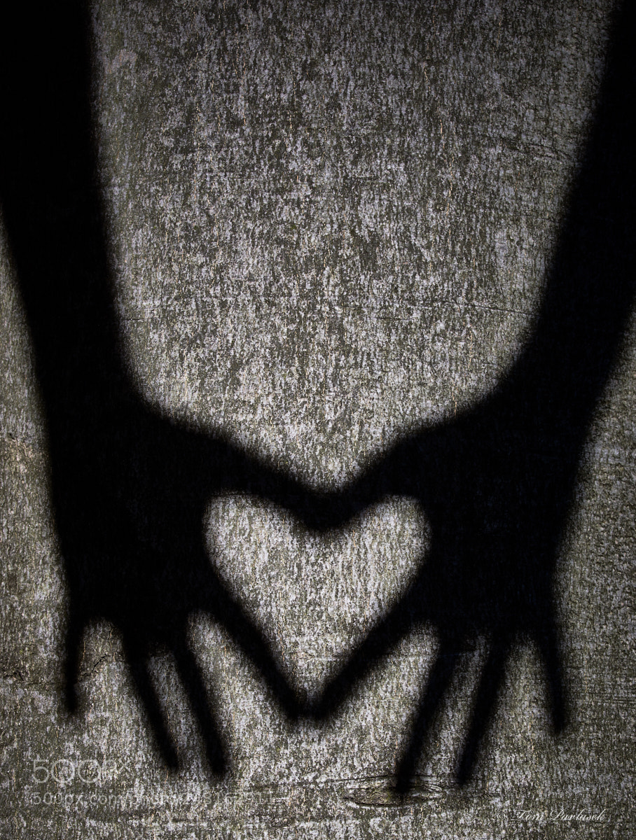 Nikon D600 sample photo. Two shadows hands photography