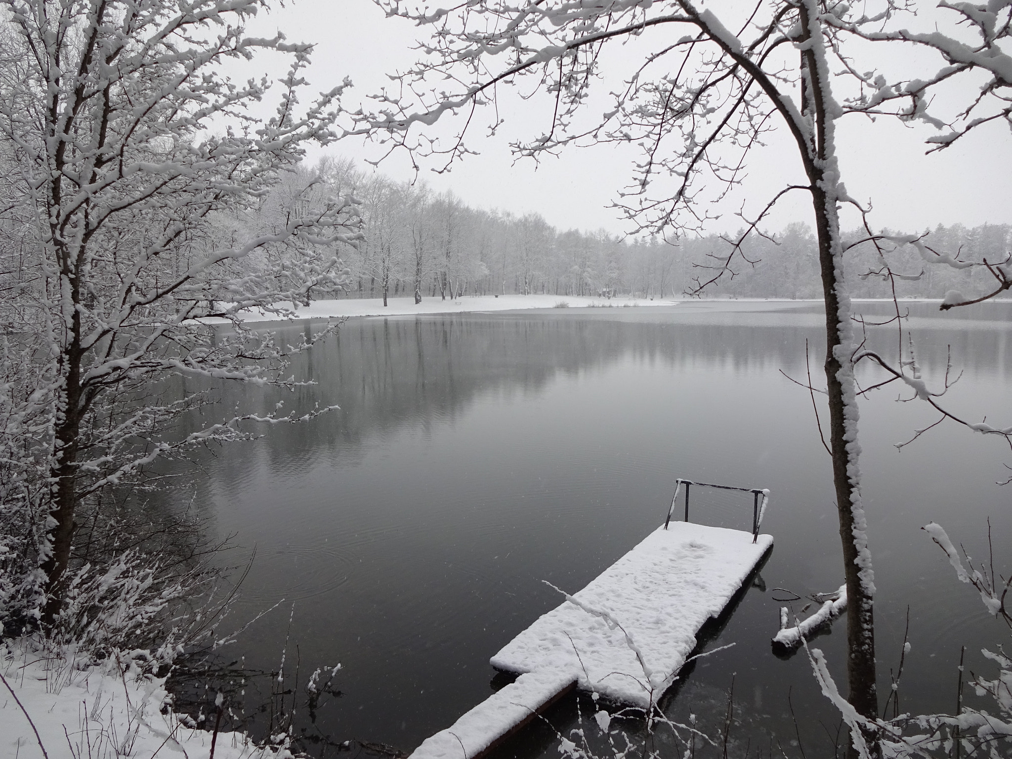 Sony Cyber-shot DSC-WX220 sample photo. Winterwonderland photography