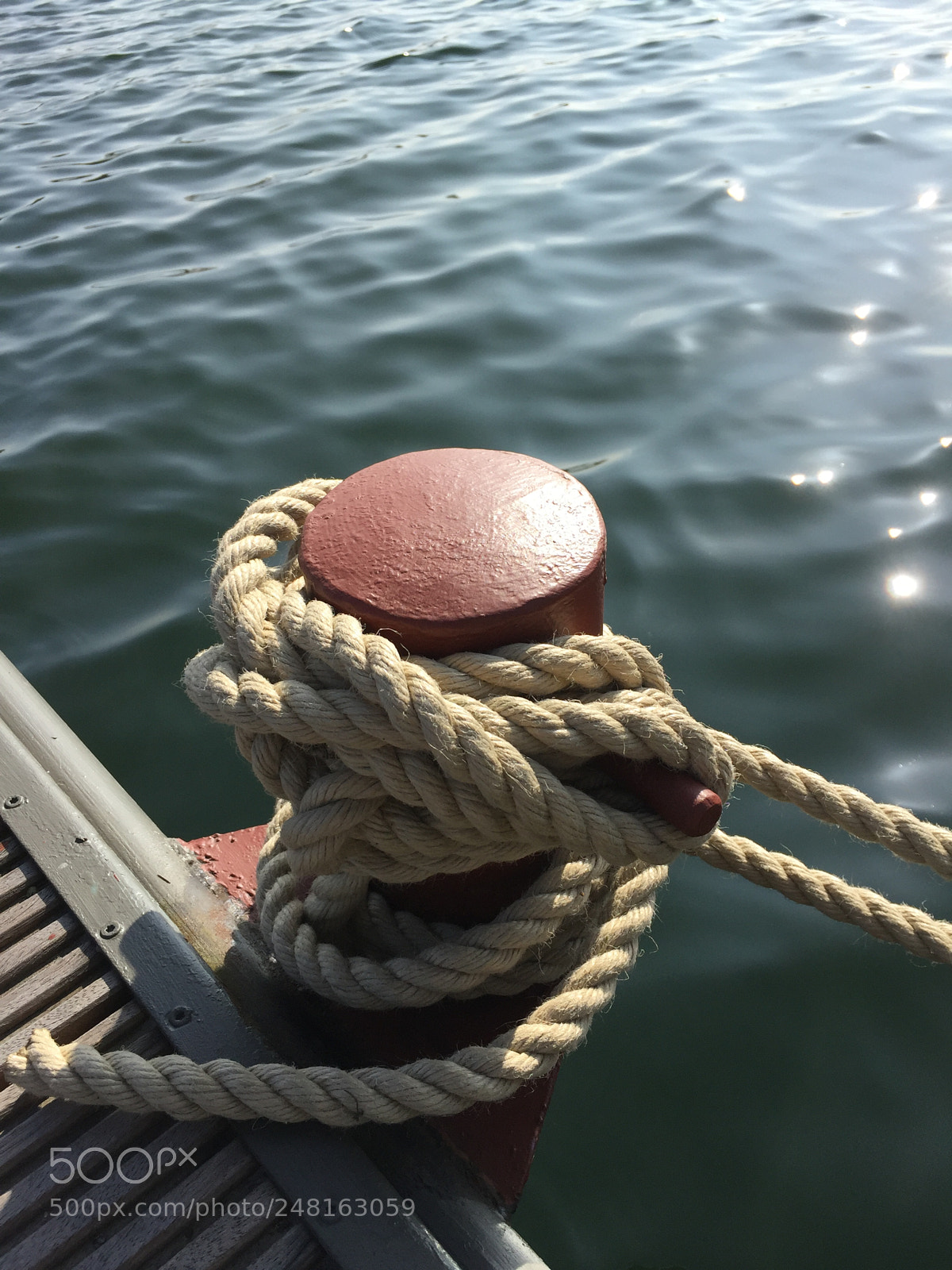 Apple iPhone 6 sample photo. Rosande polder arnhem photography