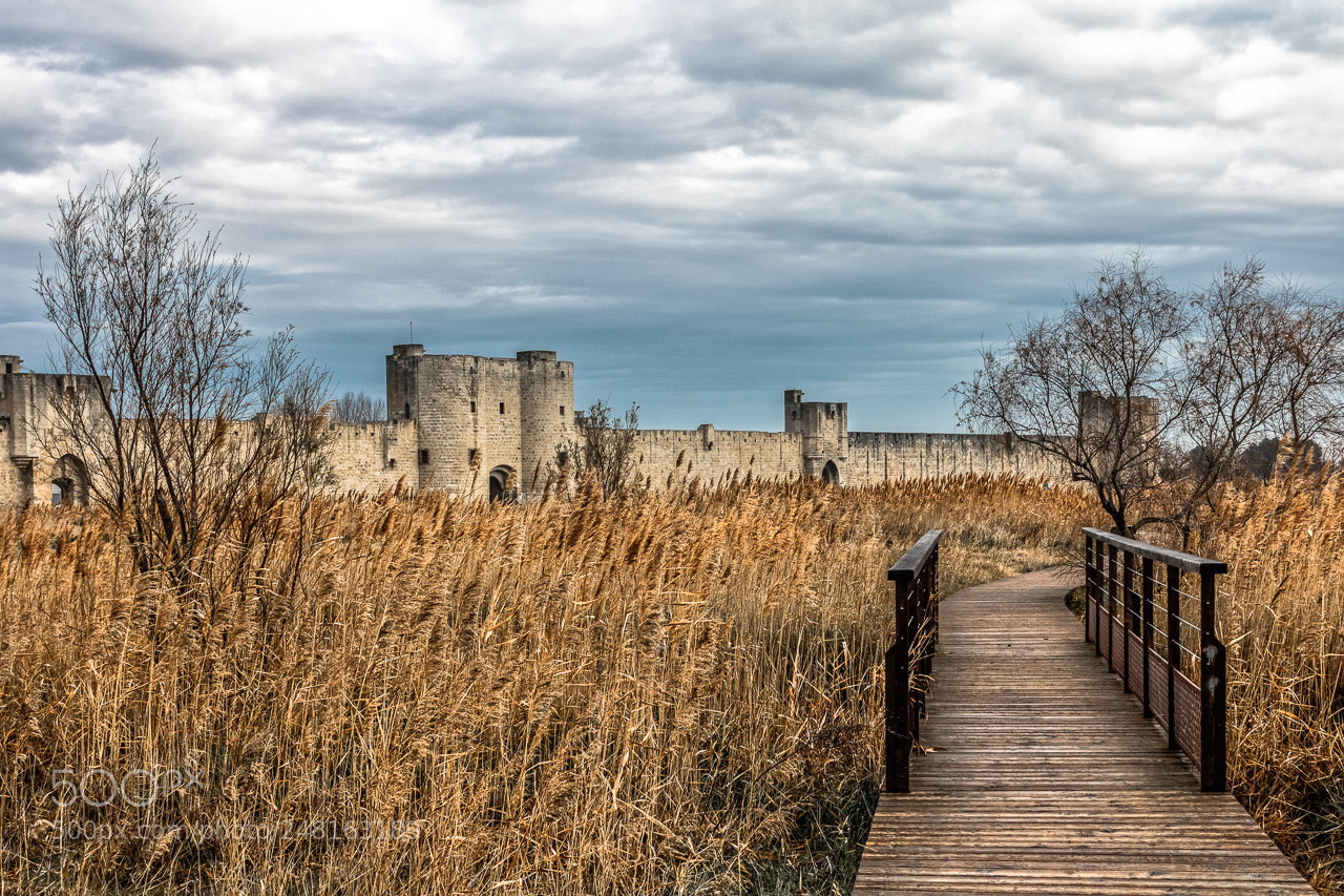 Canon EOS 760D (EOS Rebel T6s / EOS 8000D) sample photo. Vue sur les remparts photography