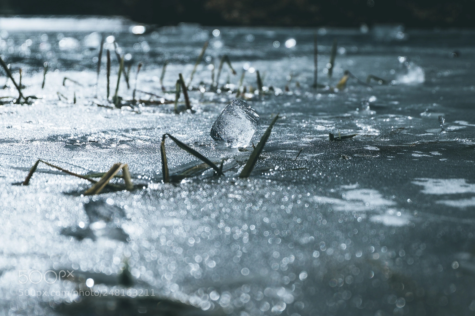Fujifilm X-T20 sample photo. Melting time photography