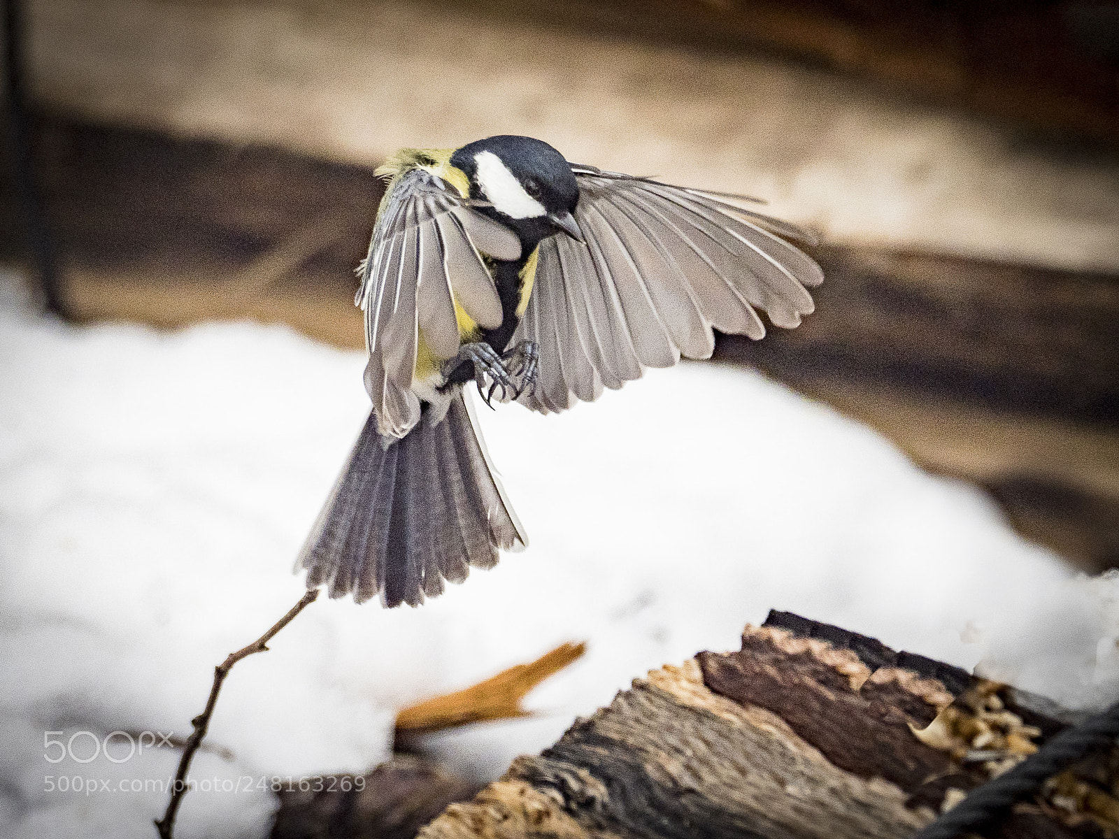 Olympus OM-D E-M1 Mark II sample photo. Landing photography
