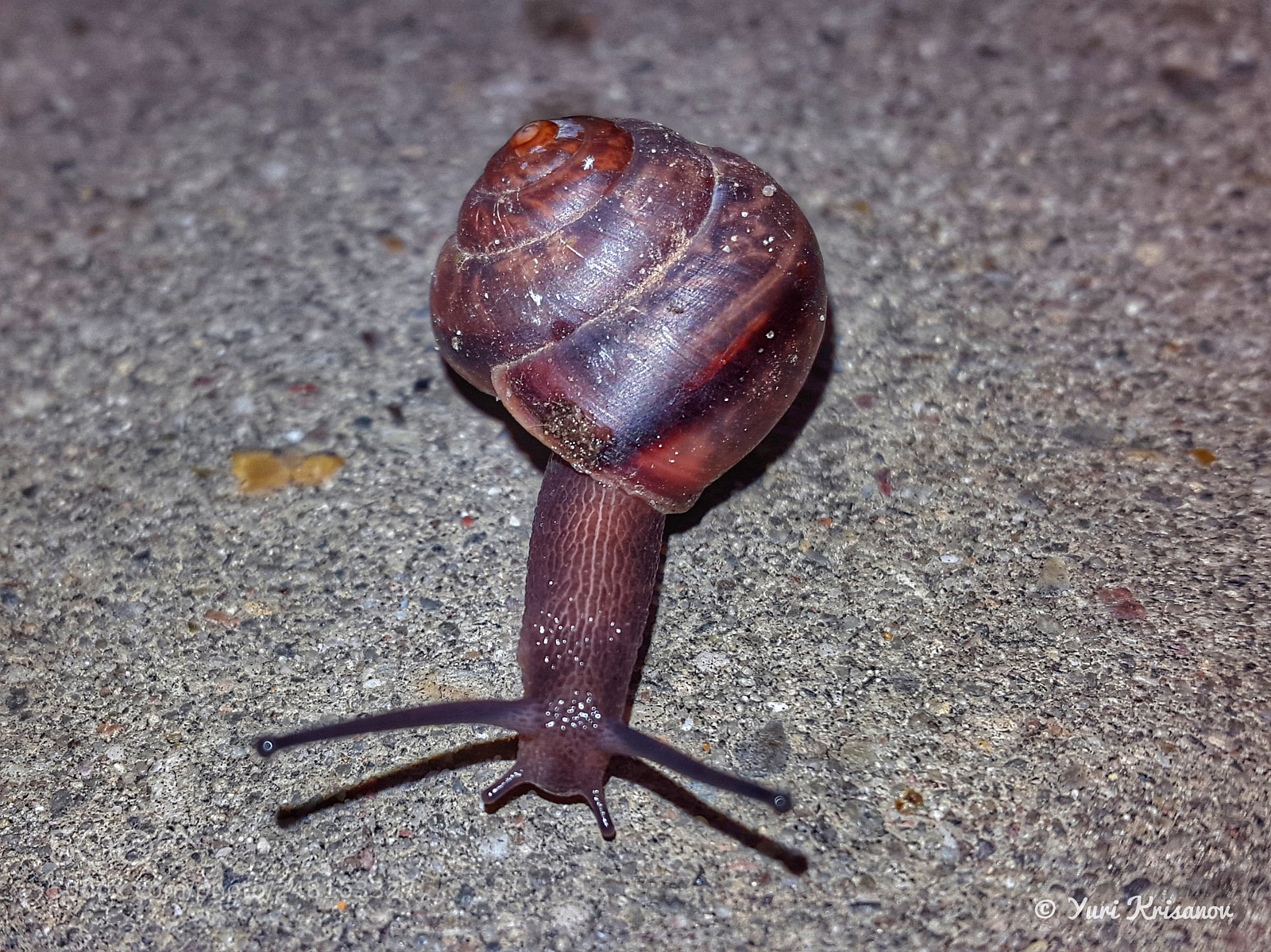 Samsung Galaxy Alpha sample photo. Night walk of a photography