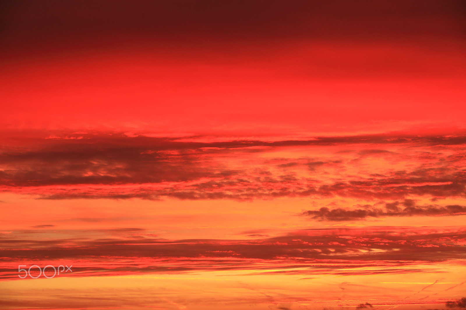 Canon EF 70-200mm F2.8L USM sample photo. Sunrise photography