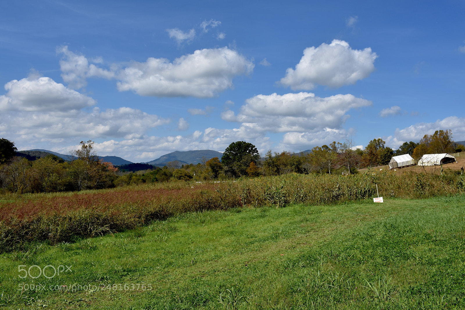 Nikon D3400 sample photo. Hickory nut gap farm photography