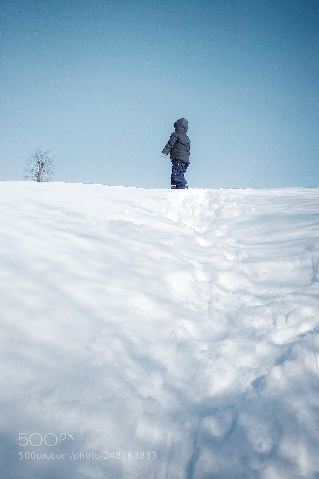 Xiaomi Redmi Note3 sample photo. Boy snow and tree photography