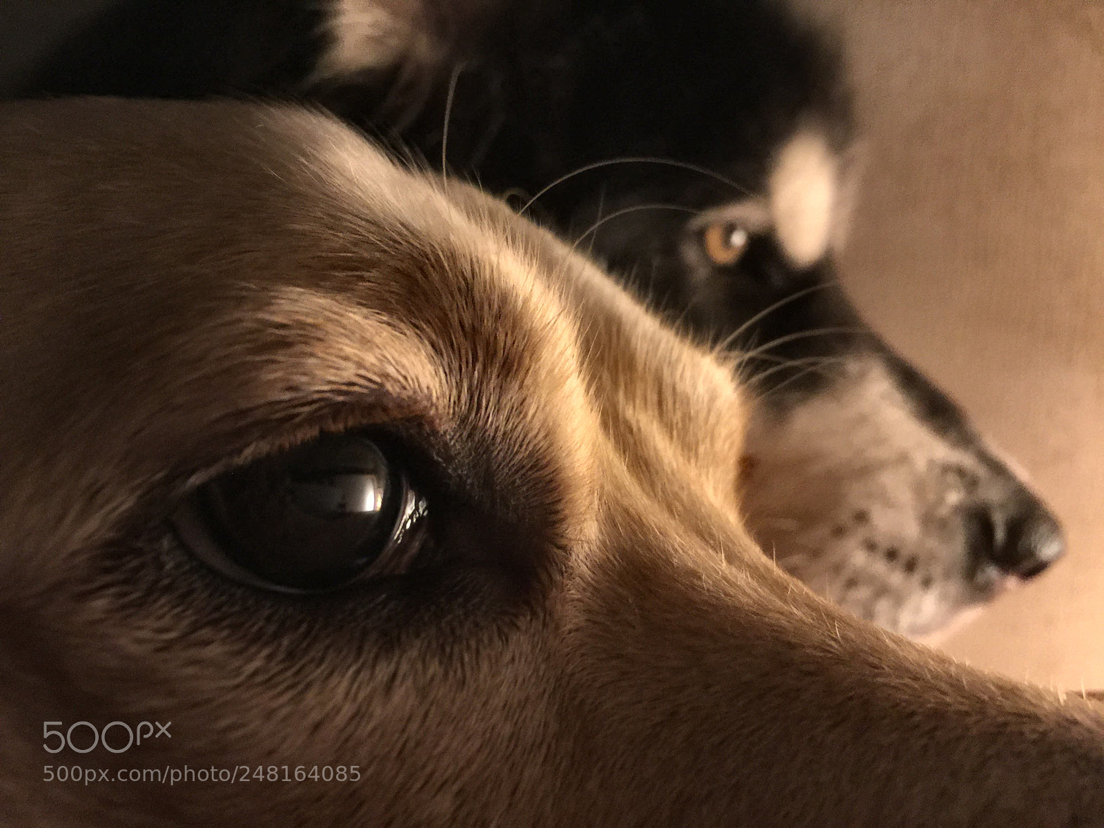 Apple iPhone 6 Plus sample photo. Serenity photography
