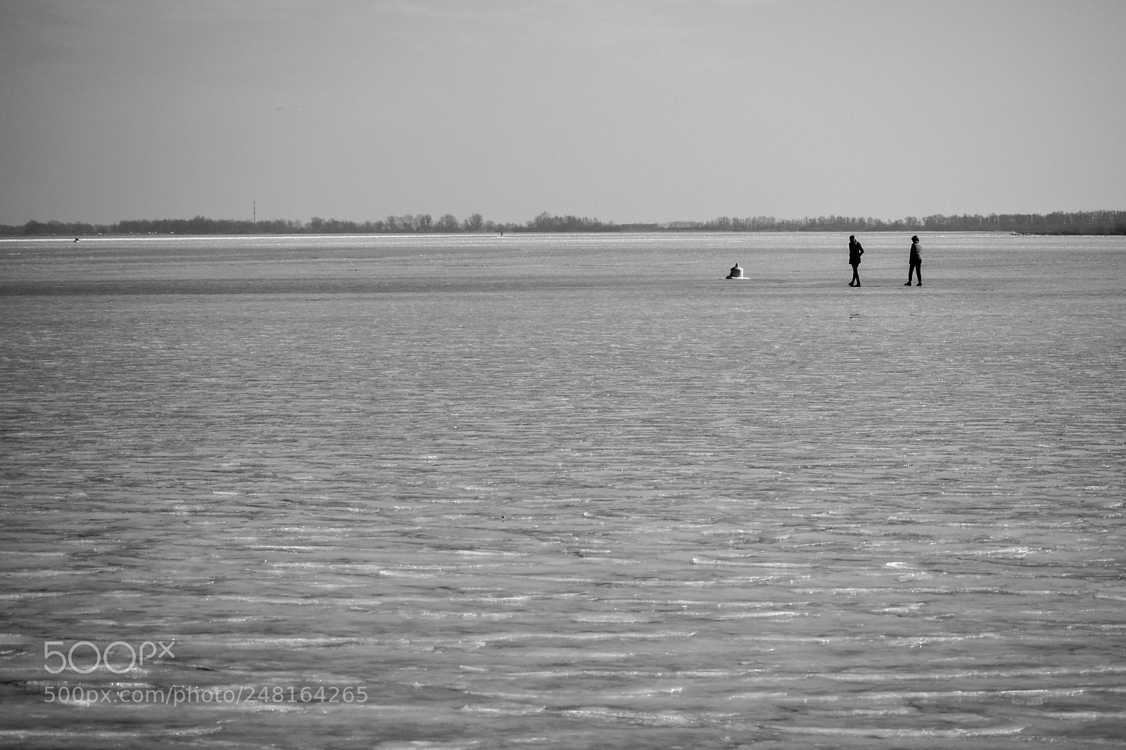 Olympus OM-D E-M10 II sample photo. Icy world photography