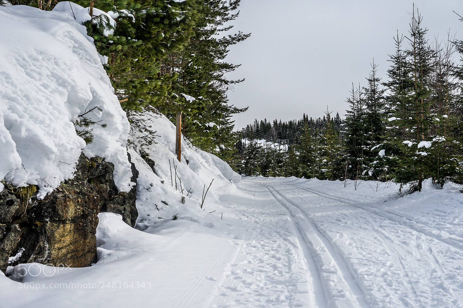 Sony a7 II sample photo. The quiet place photography