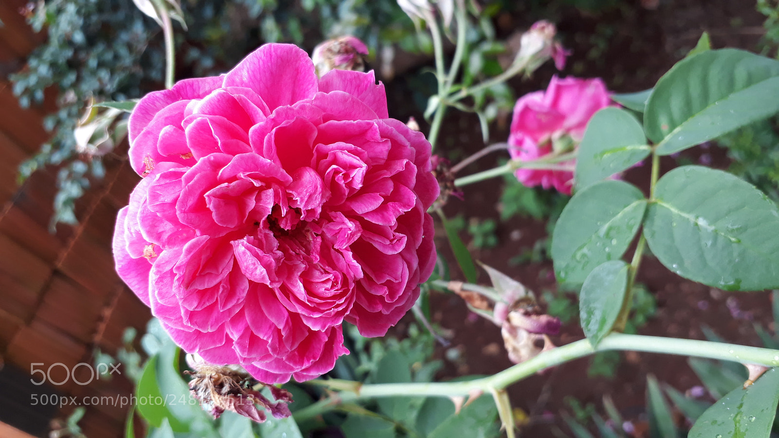 Samsung Galaxy J7 Prime sample photo. Untitled photography