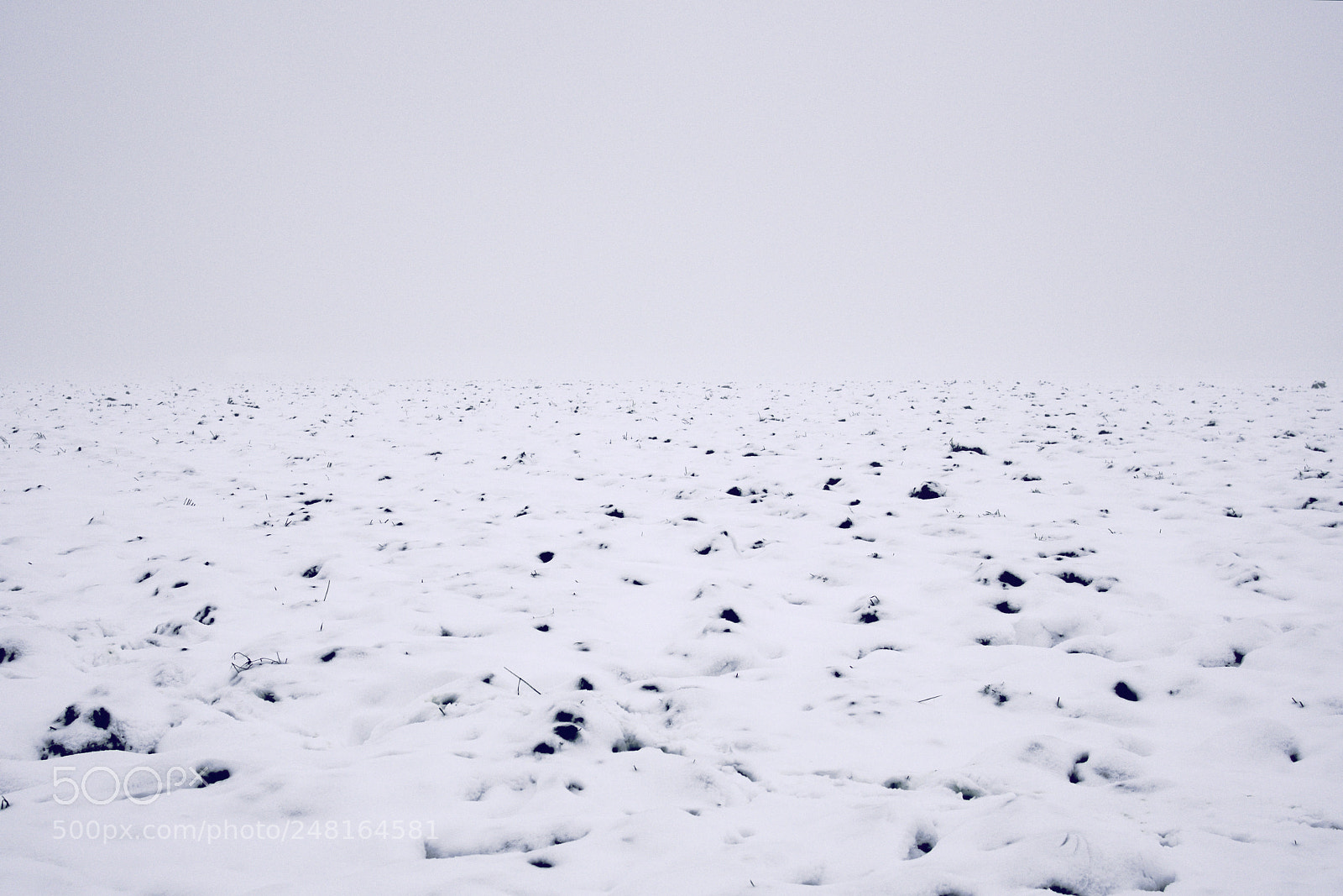 Nikon D7500 sample photo. Dots in vast space photography