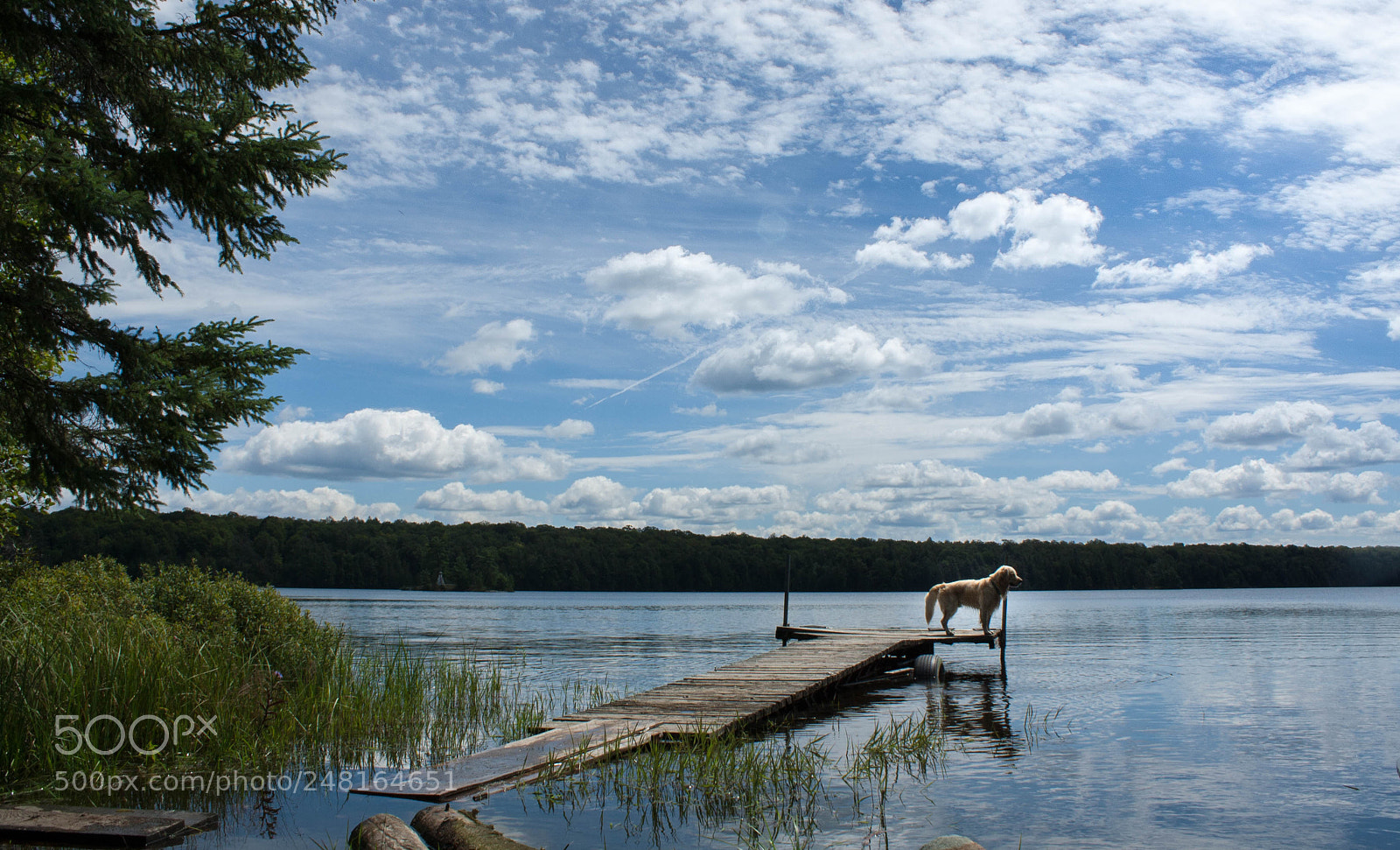 Canon EOS 1000D (EOS Digital Rebel XS / EOS Kiss F) sample photo. My favourite place in photography