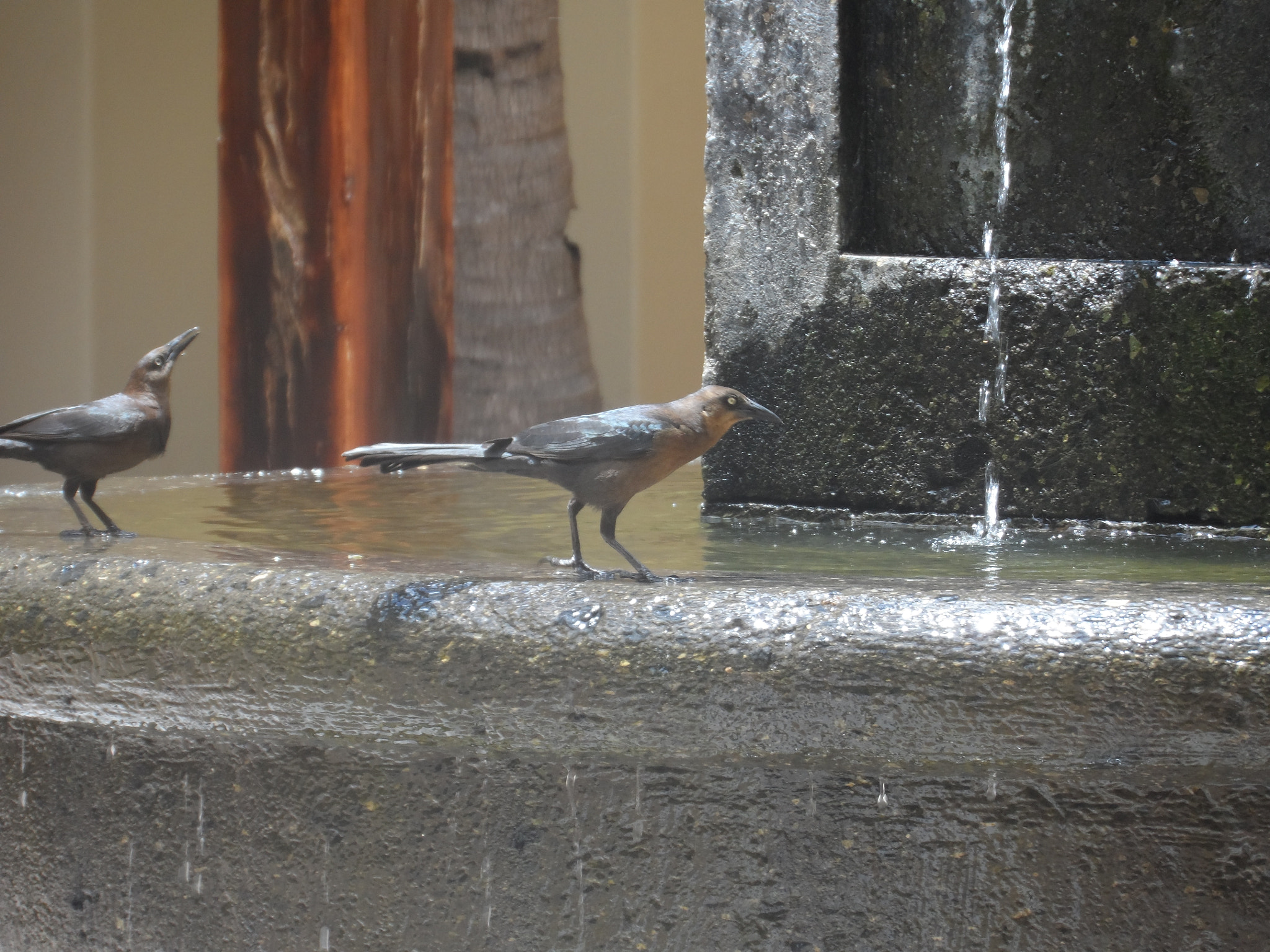Samsung WB150 / WB150F / WB152 / WB152F / WB151 / WB151F / WB140 sample photo