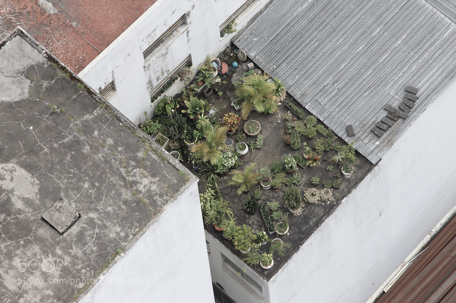 Canon EOS 1200D (EOS Rebel T5 / EOS Kiss X70 / EOS Hi) sample photo. Roofs of s o photography