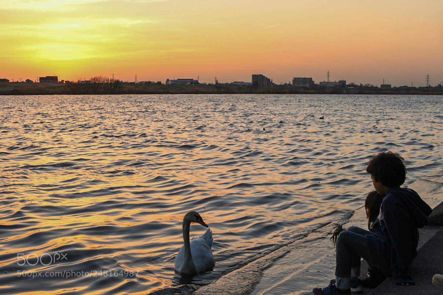 Nikon D7500 sample photo. Sunset river  photography