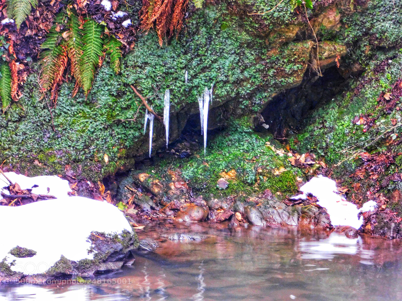 Nikon Coolpix B500 sample photo. Untitled photography