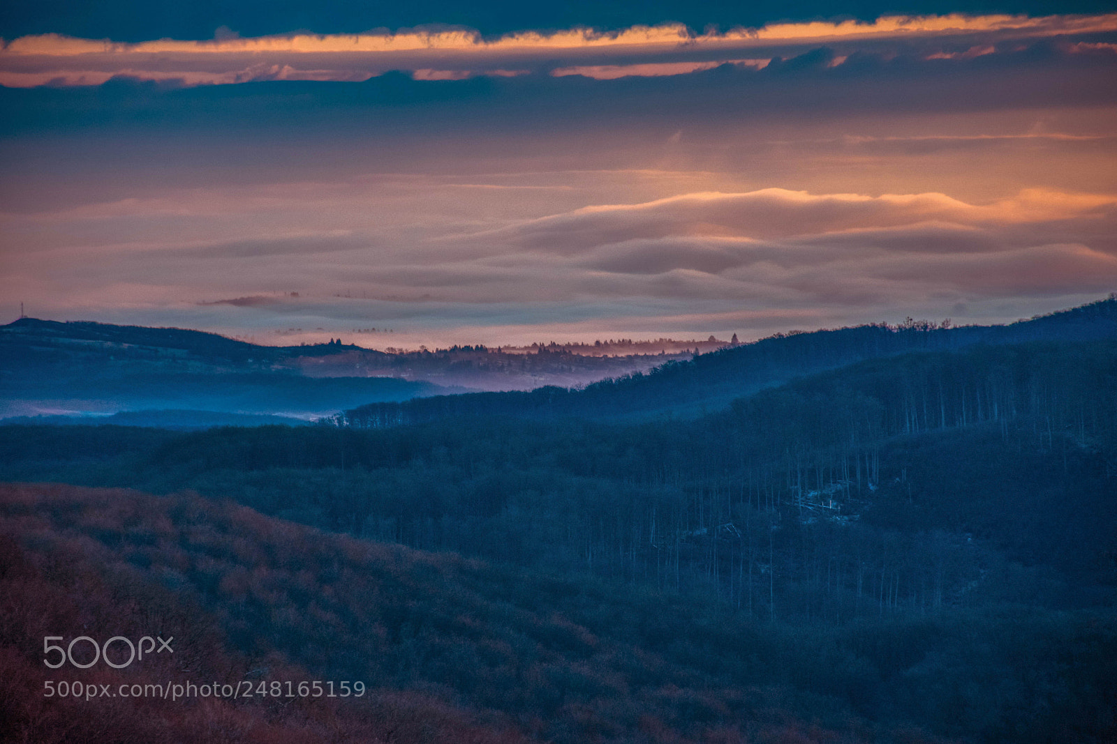 Nikon D5300 sample photo. Foggy dawn photography