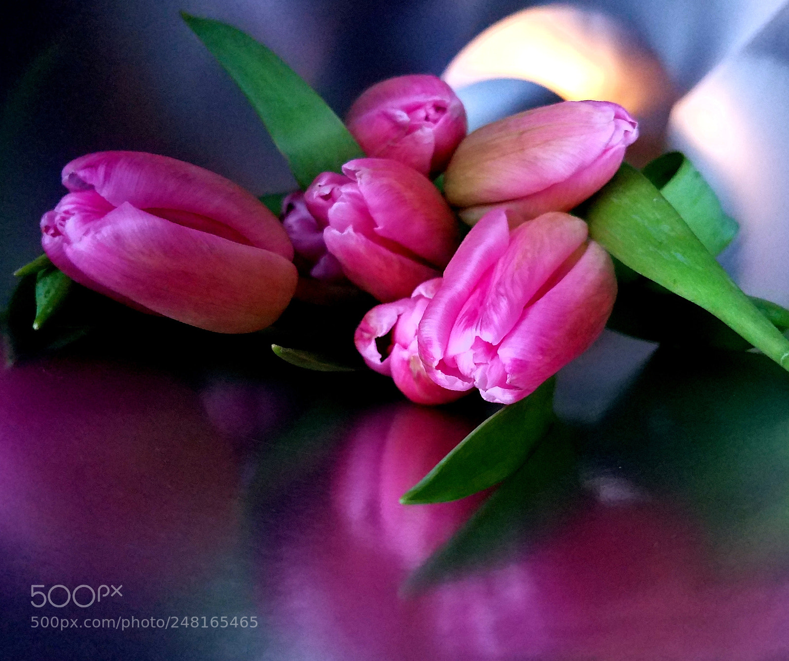 Samsung Galaxy S7 Edge sample photo. Pi k tulips bouquet photography