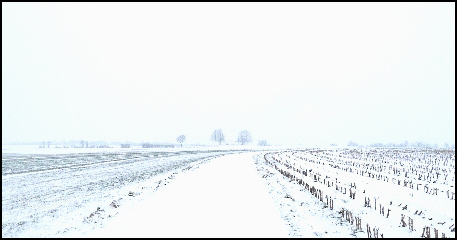Panasonic Lumix DMC-ZS7 (Lumix DMC-TZ10) sample photo. Hirtel photography