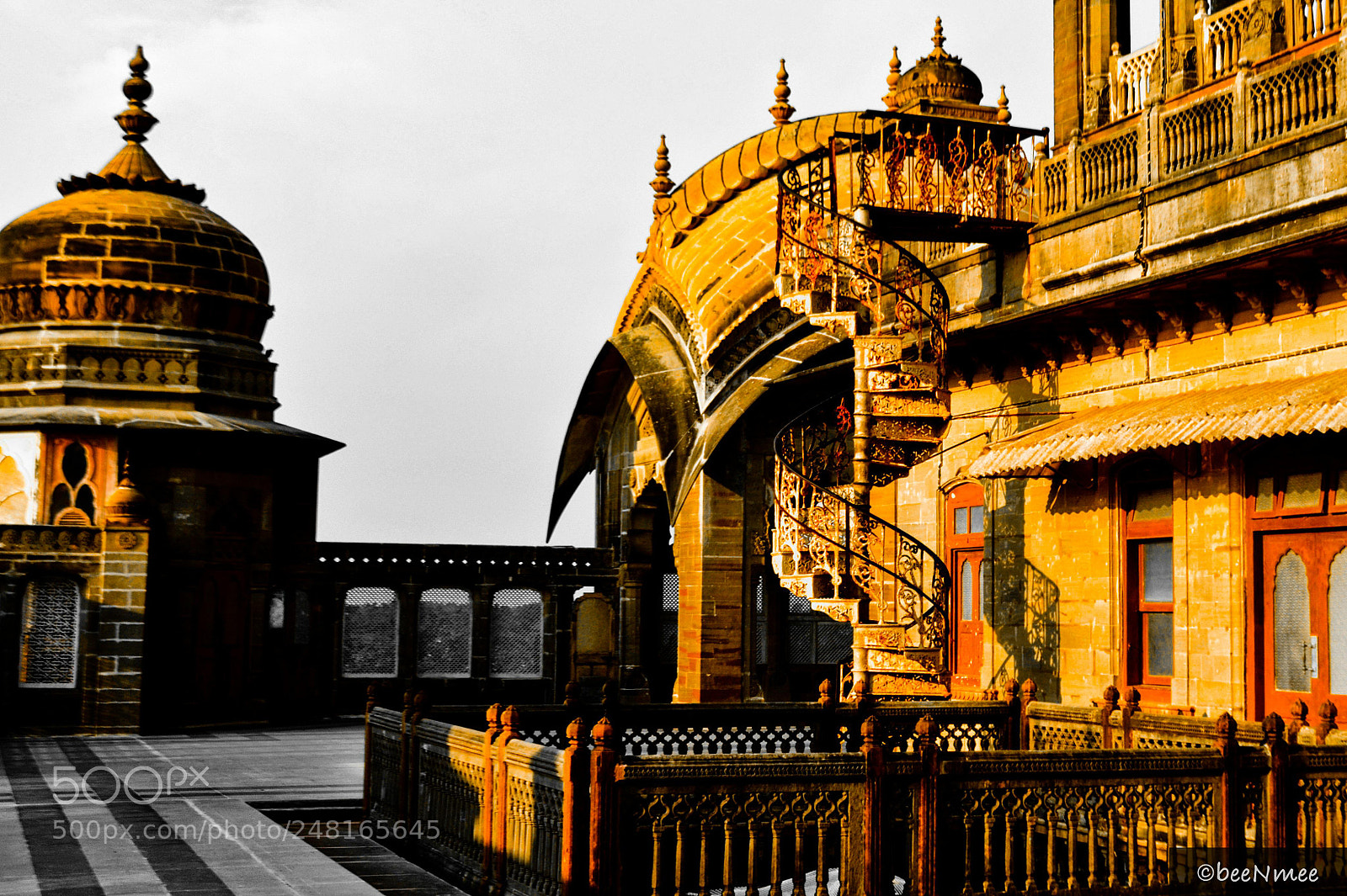Nikon D5100 sample photo. Fit for kings photography