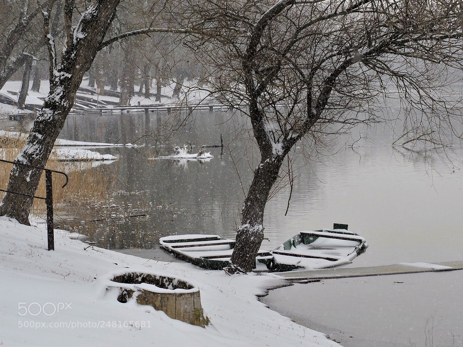 Olympus OM-D E-M1 Mark II sample photo. Snowing photography