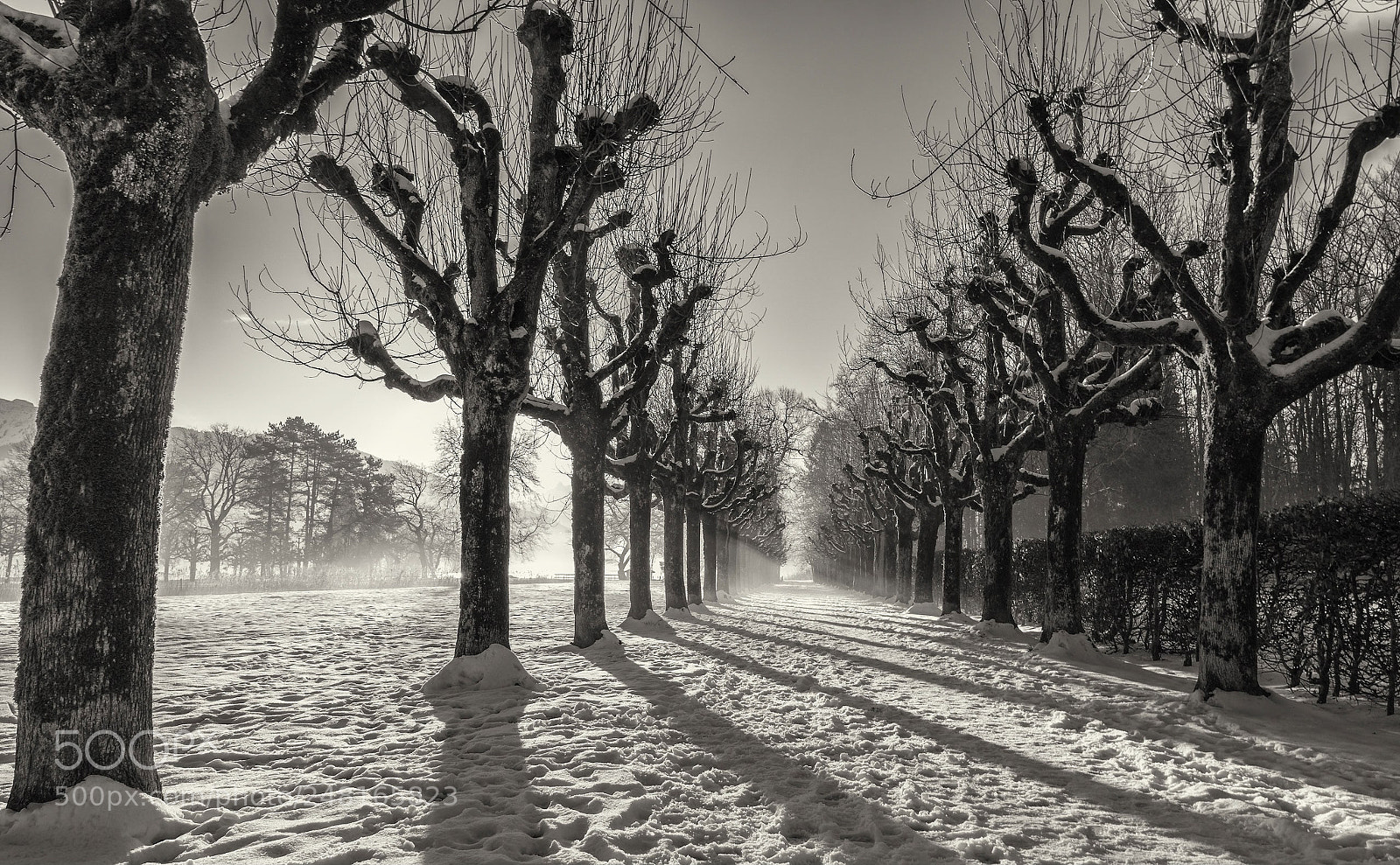 Pentax K-3 II sample photo. The parkway photography