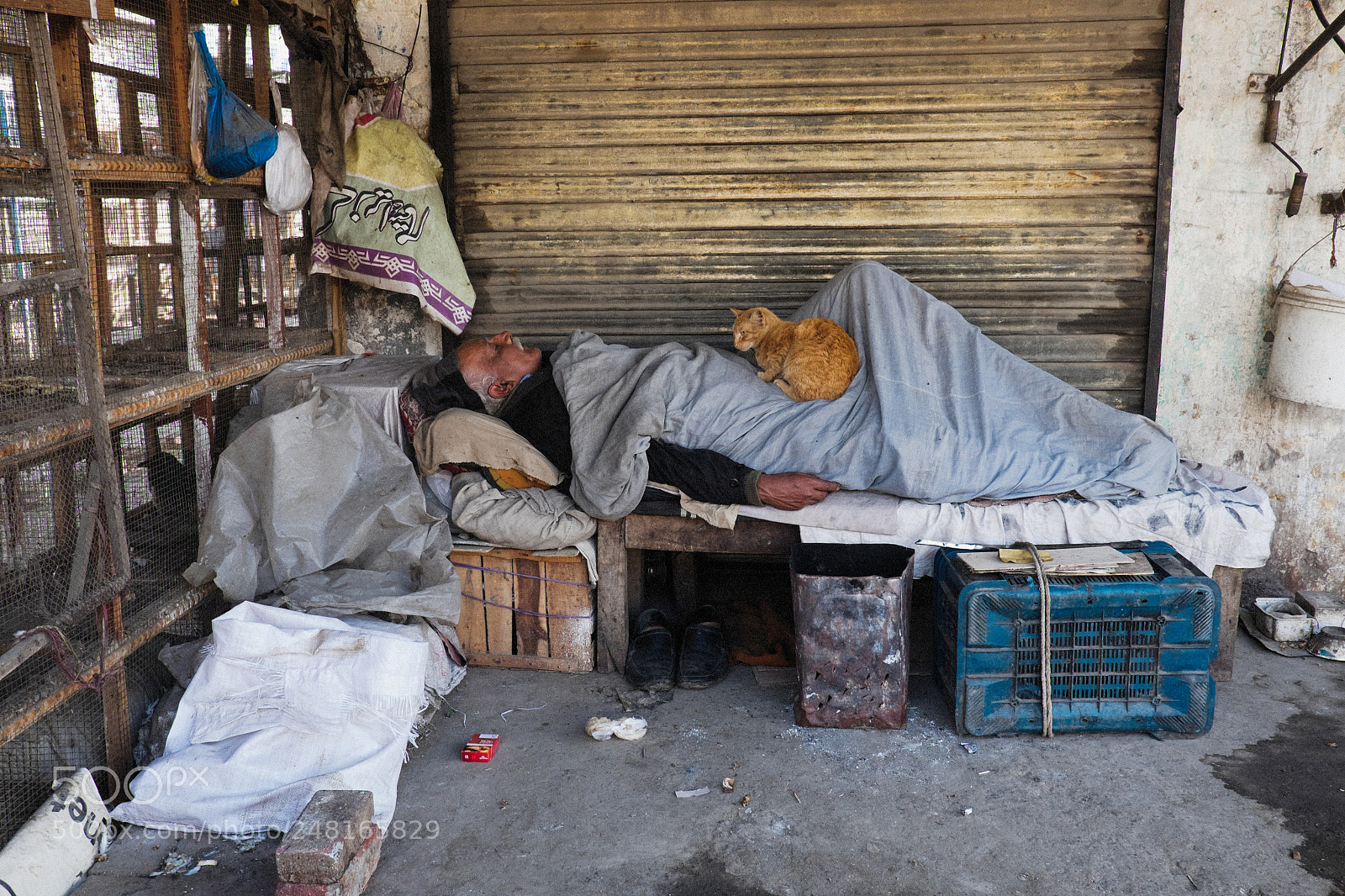 Fujifilm X-E2 sample photo. Old man & the cat photography