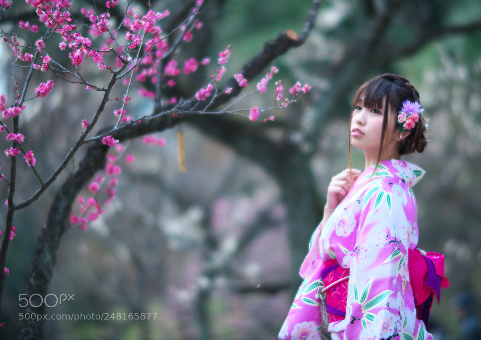 Nikon D850 sample photo. Kimono portrait photography