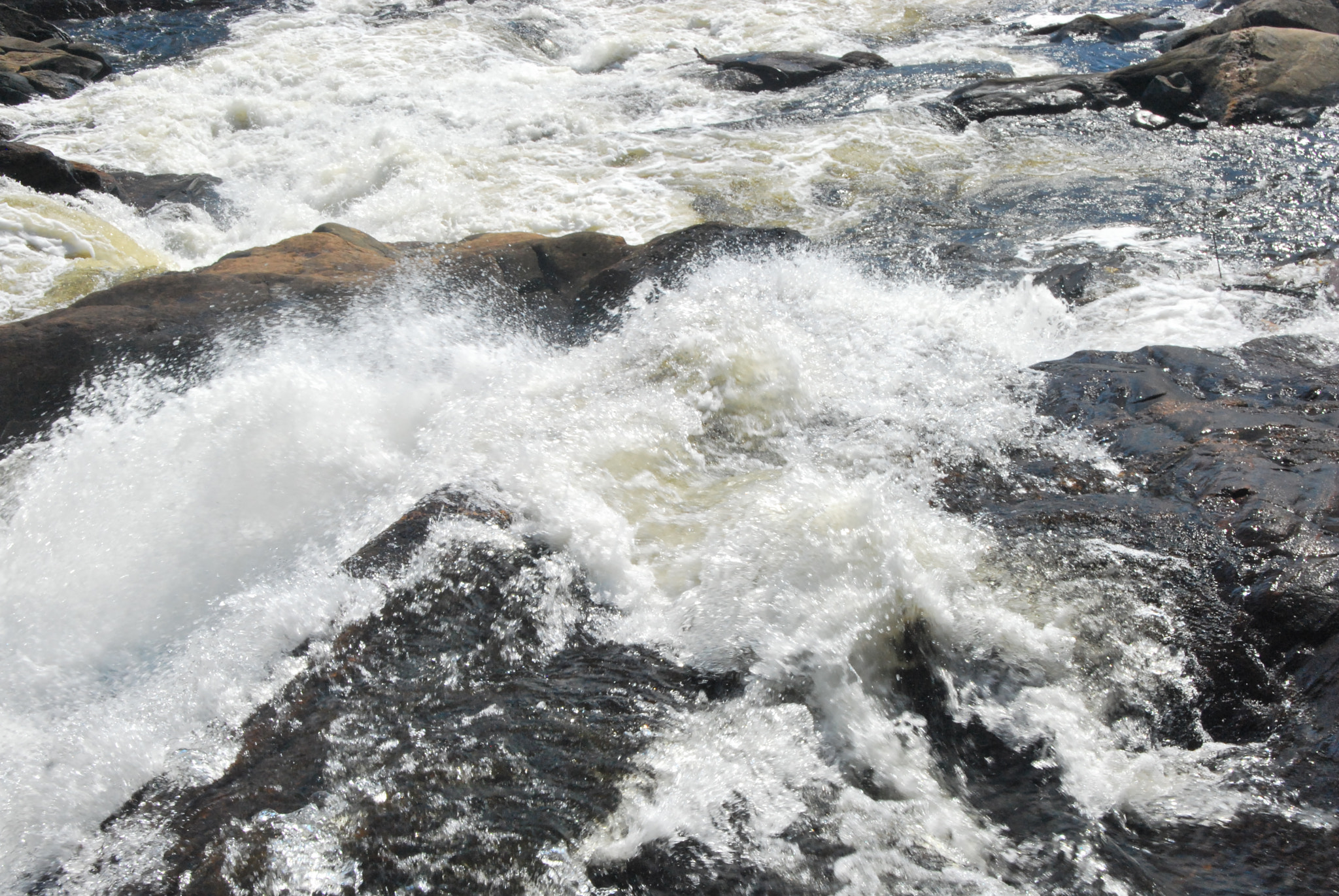 Nikon D60 sample photo. Muskoka river run photography