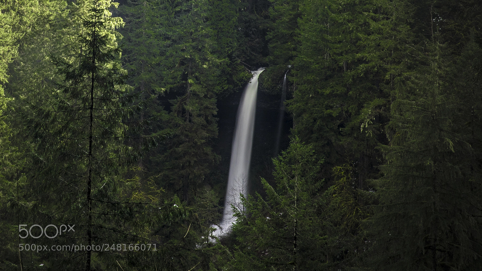 Canon EOS-1D X Mark II sample photo. Silver falls 1 photography