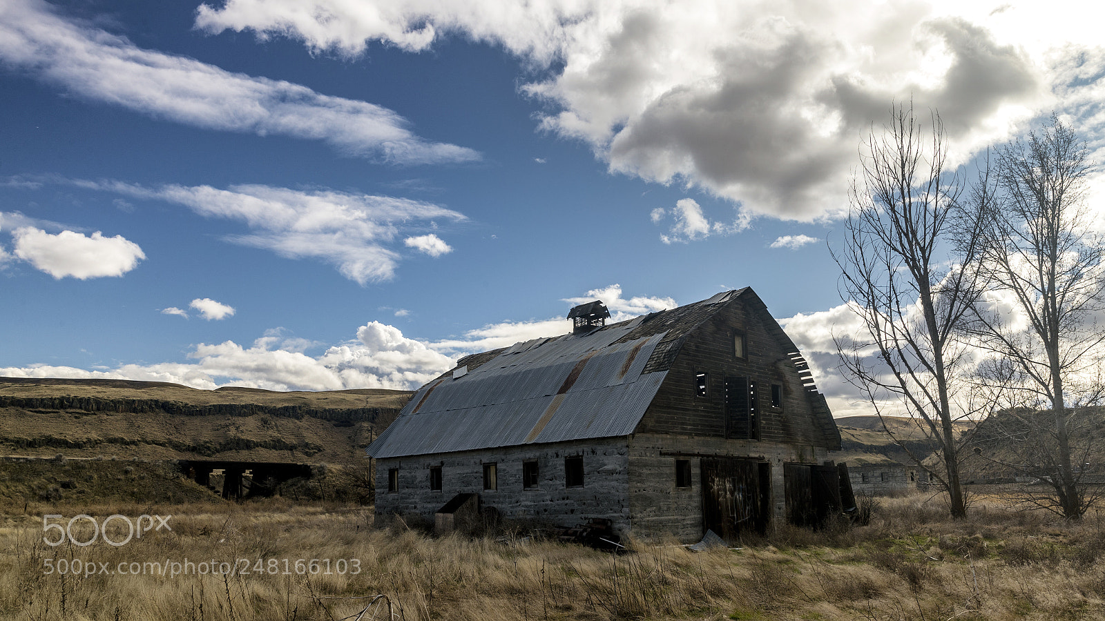 Canon EOS-1D X Mark II sample photo. Back roads of washington 2 photography