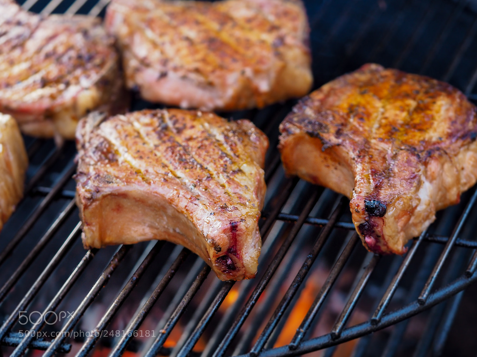 Olympus OM-D E-M10 II sample photo. Mighty fine chops photography