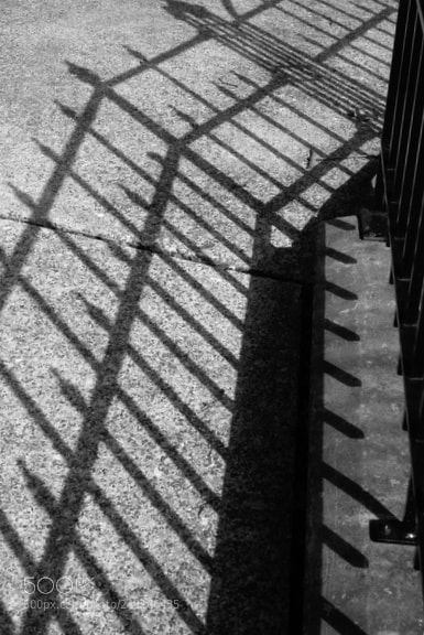 Sony Alpha NEX-6 sample photo. 52 weeks | week 9 | shadows photography
