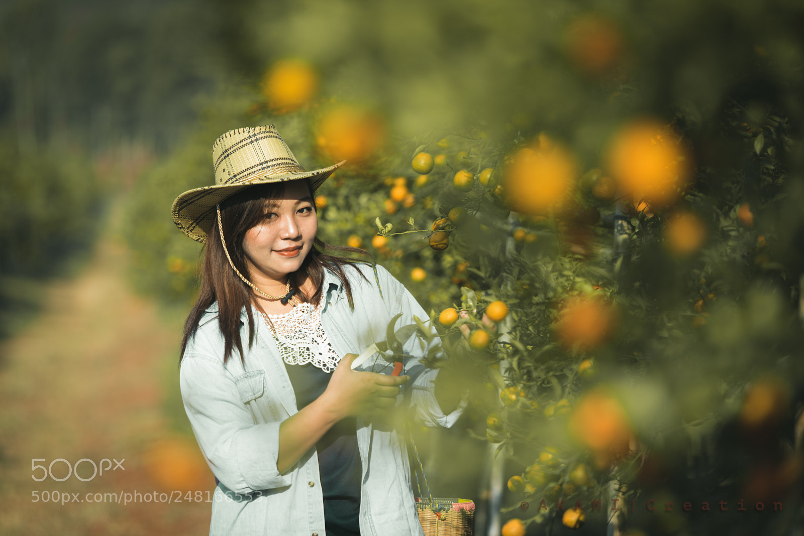 Nikon D800 sample photo. Mmt #5 photography