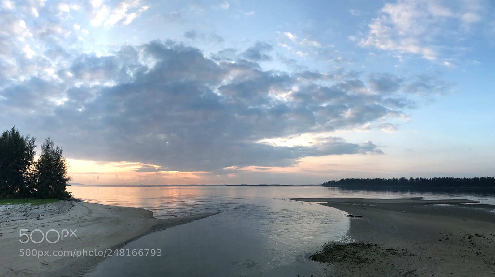 Apple iPhone 7 Plus sample photo. Song of dawn. photography