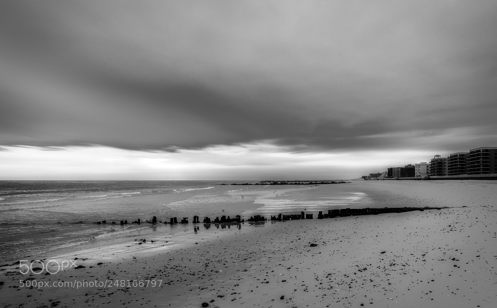 Nikon D850 sample photo. Dreary day photography