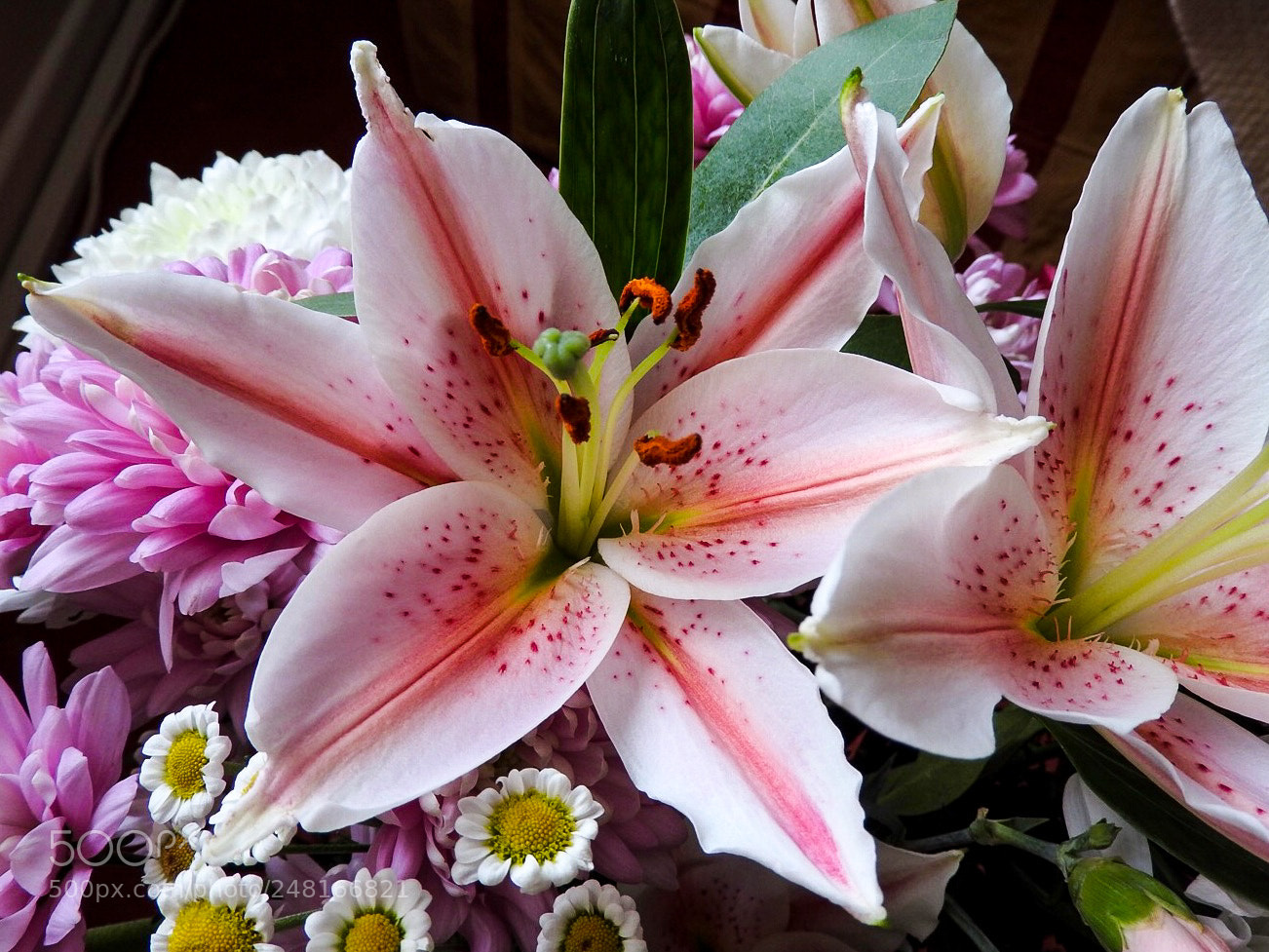 Nikon Coolpix P610 sample photo. Lilies and other flowers photography