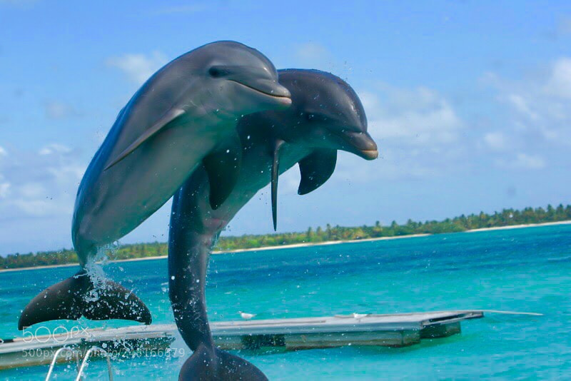 Canon EOS 30D sample photo. Punta cana - rep photography