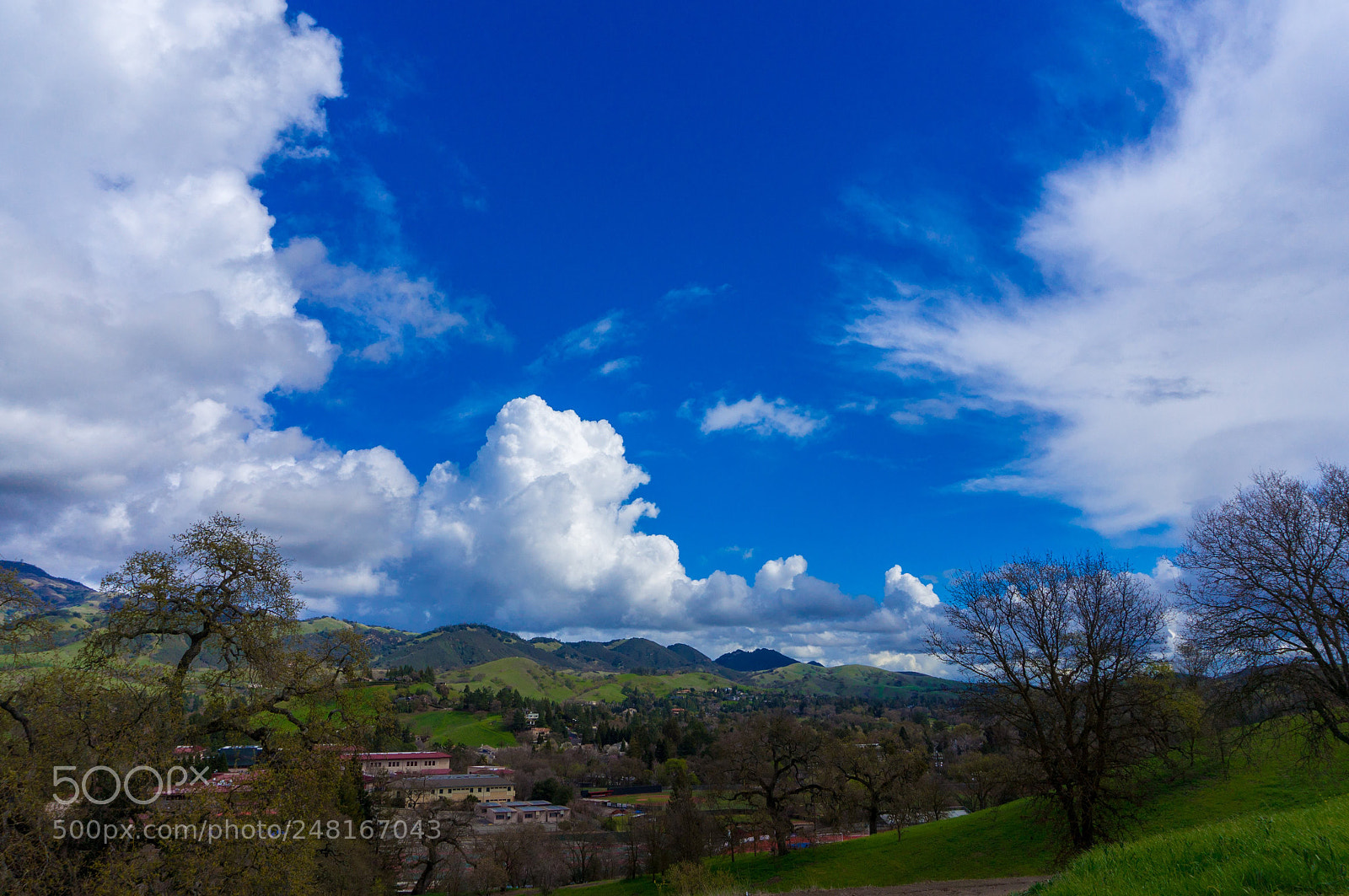 Sony Alpha NEX-F3 sample photo. Danville photography