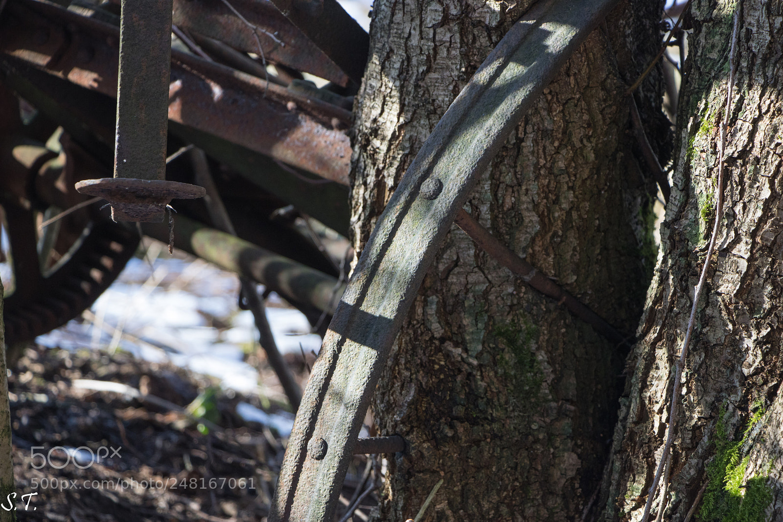 Canon EOS 750D (EOS Rebel T6i / EOS Kiss X8i) sample photo. Rad im baum photography