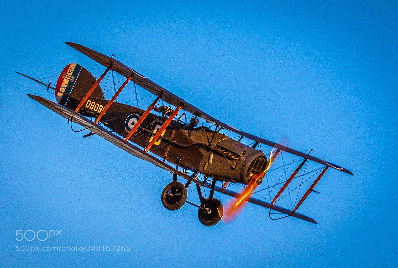 Canon EOS 50D sample photo. Bristol f2 fighter at photography