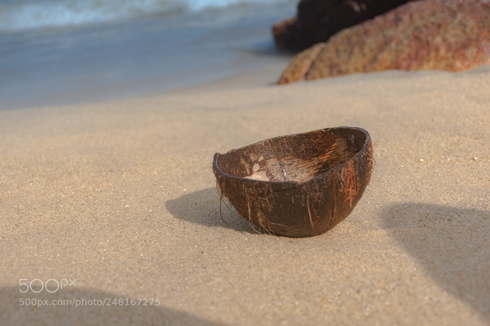 Nikon D5500 sample photo. Coconut shell photography