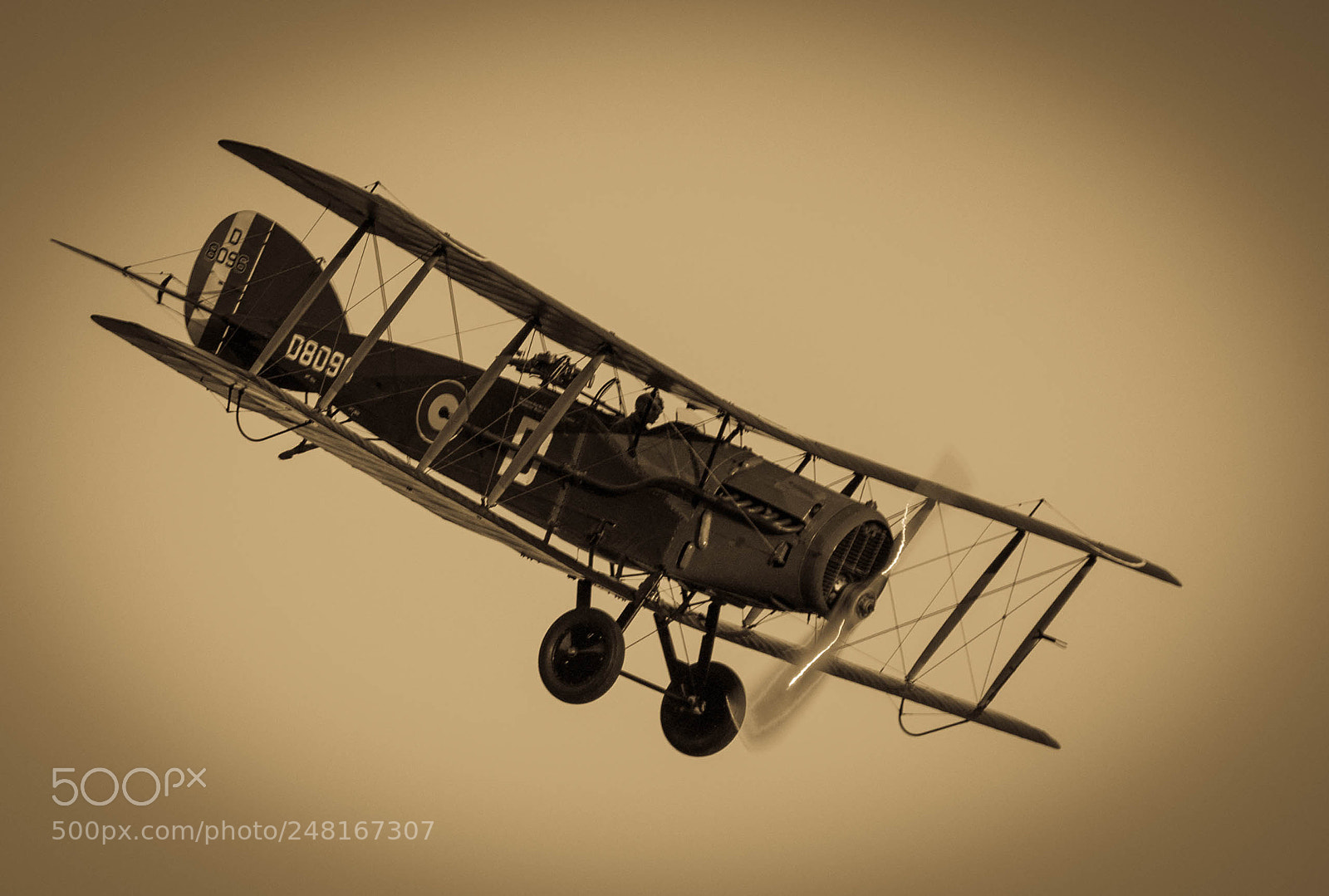 Canon EOS 50D sample photo. Bristol f2 fighter at photography